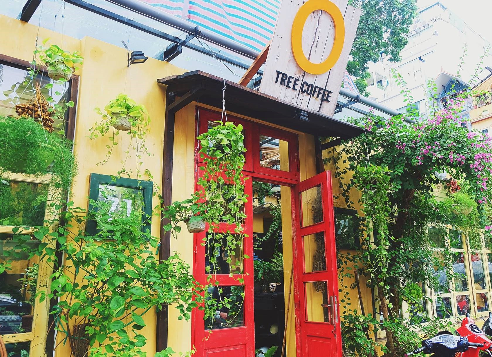top green cafes in hanoi | explore sondoong cave top green cafes in hanoi | explore sondoong cave