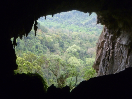 39 new caves found in Vietnam’s Phong Nha-Ke Bang Park