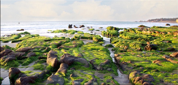 Incredible landscape in Co Thach beach