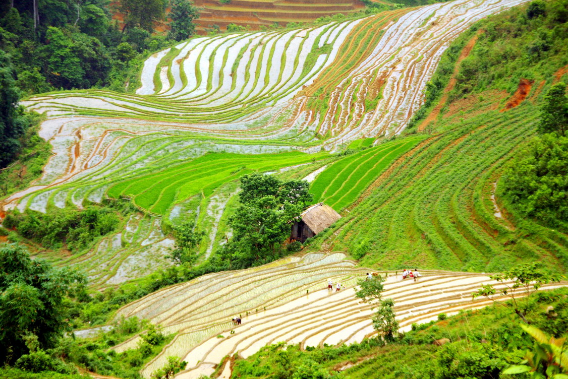 The beauty of Ta Phin village in December in Sa Pa