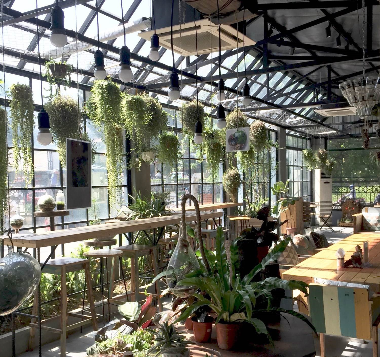 Top green cafes in Hanoi | Explore SonDoong Cave