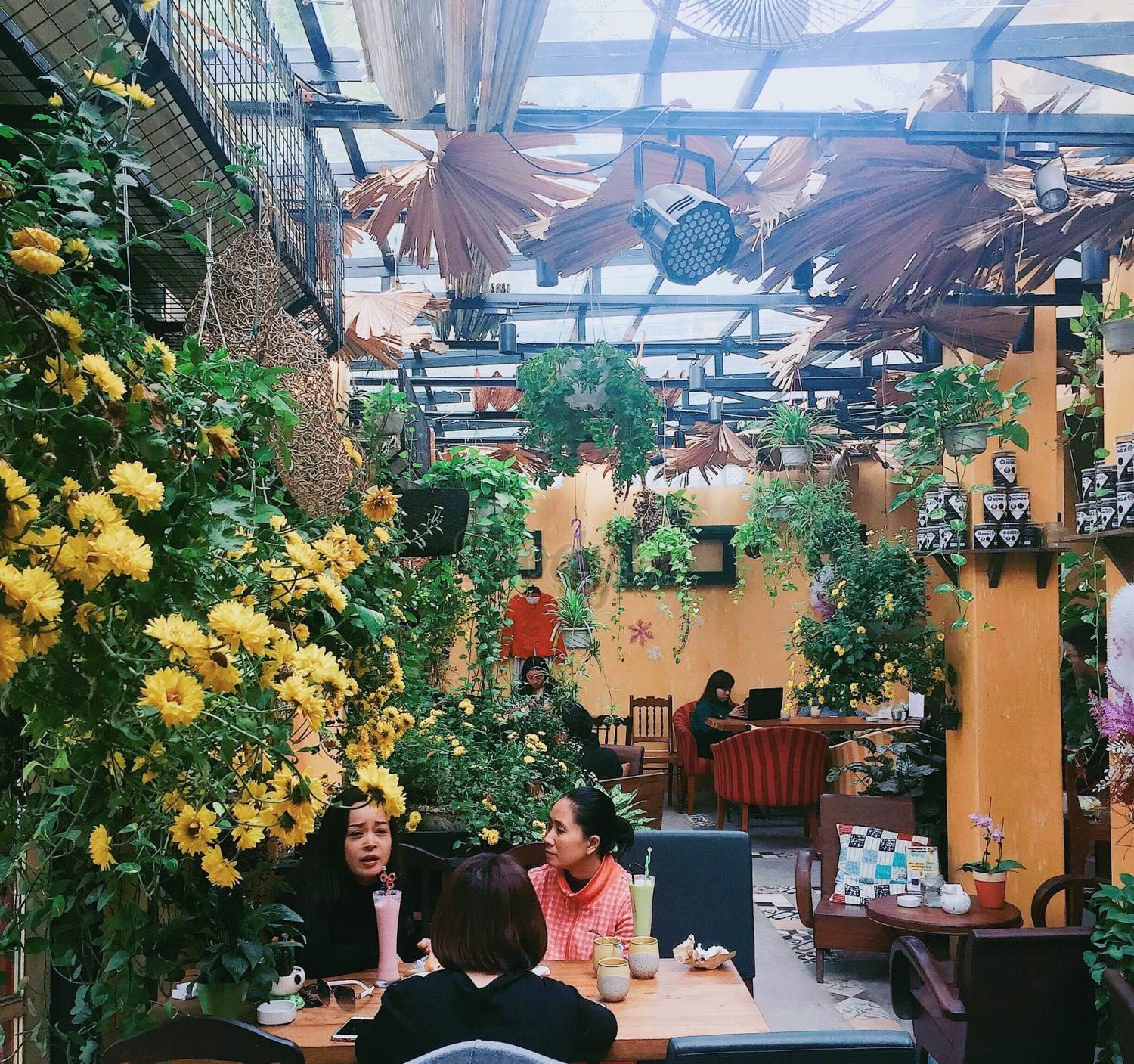 Green space in Ohi Tree and Coffee in Hanoi