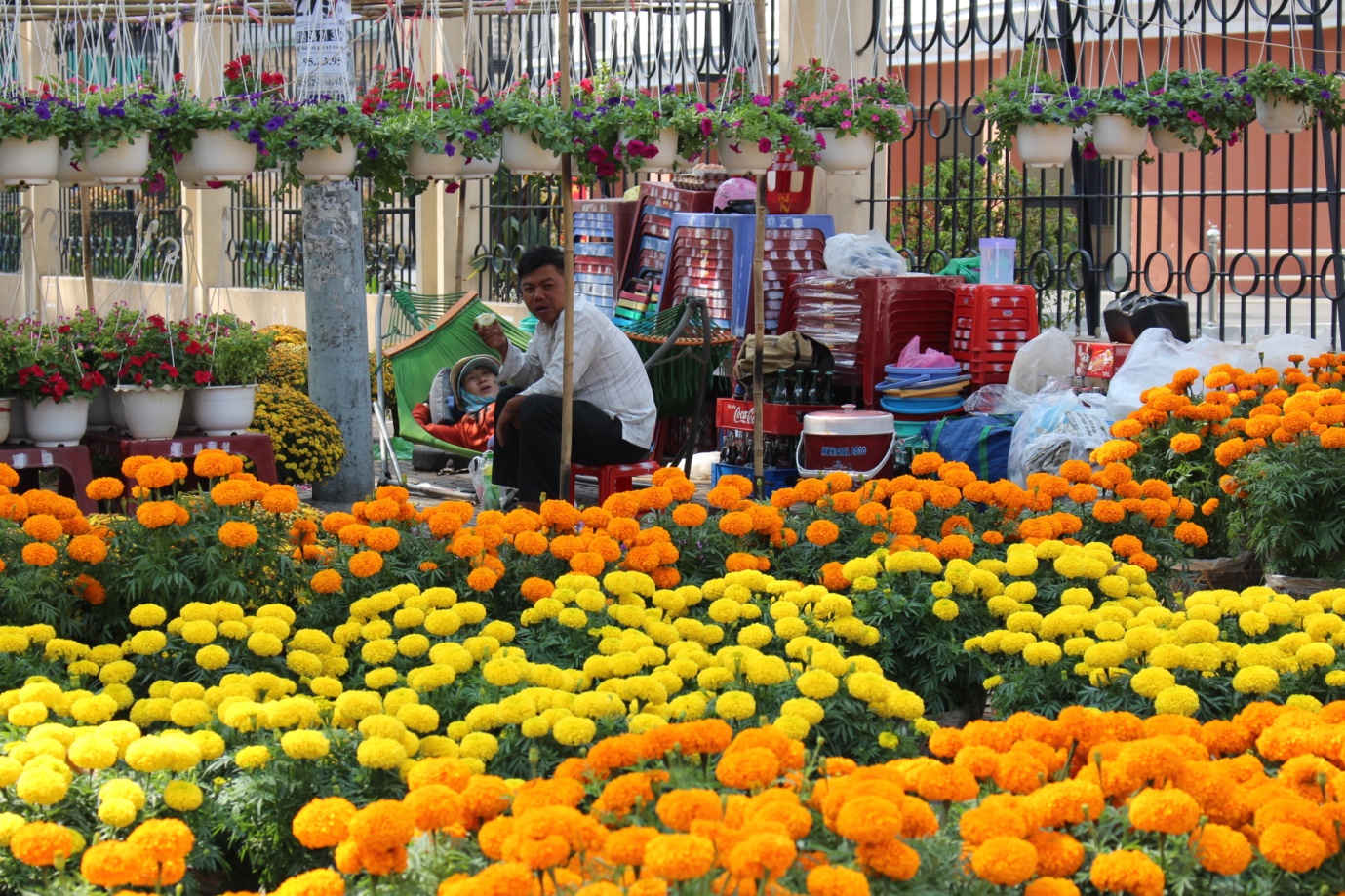Ornamental trees are the most popular item