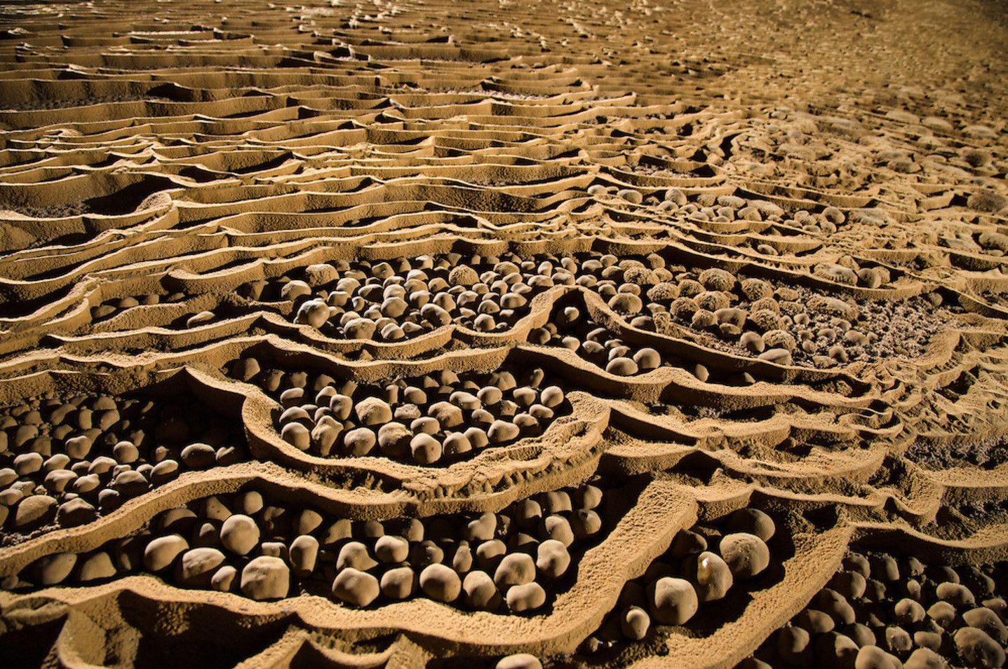 The rocky pearls in Son Doong Cave