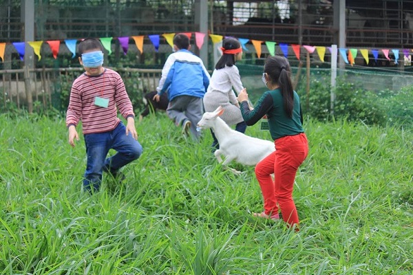 Detrang Farm - Agritourism opportunity