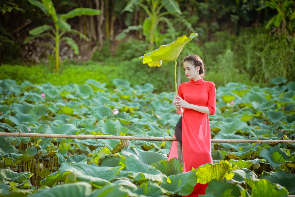 Take photo with lotus flowers