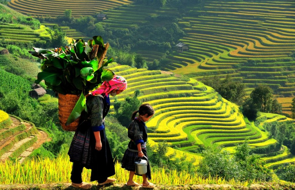 The unique beauty of Sapa