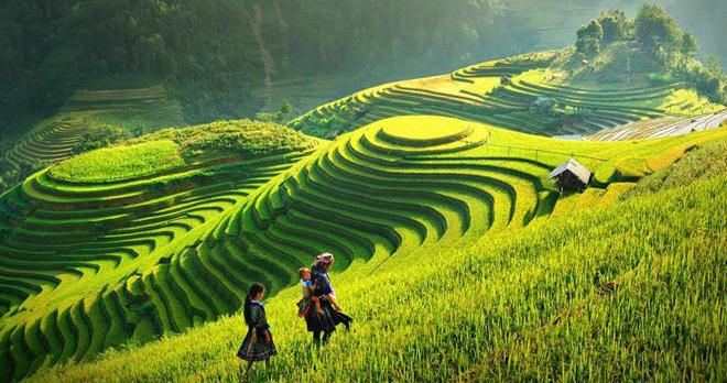 Are you excited to see such a green terraced rice field in Pu Luong