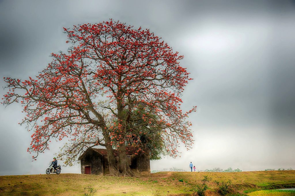 Hoa Gao in an old village