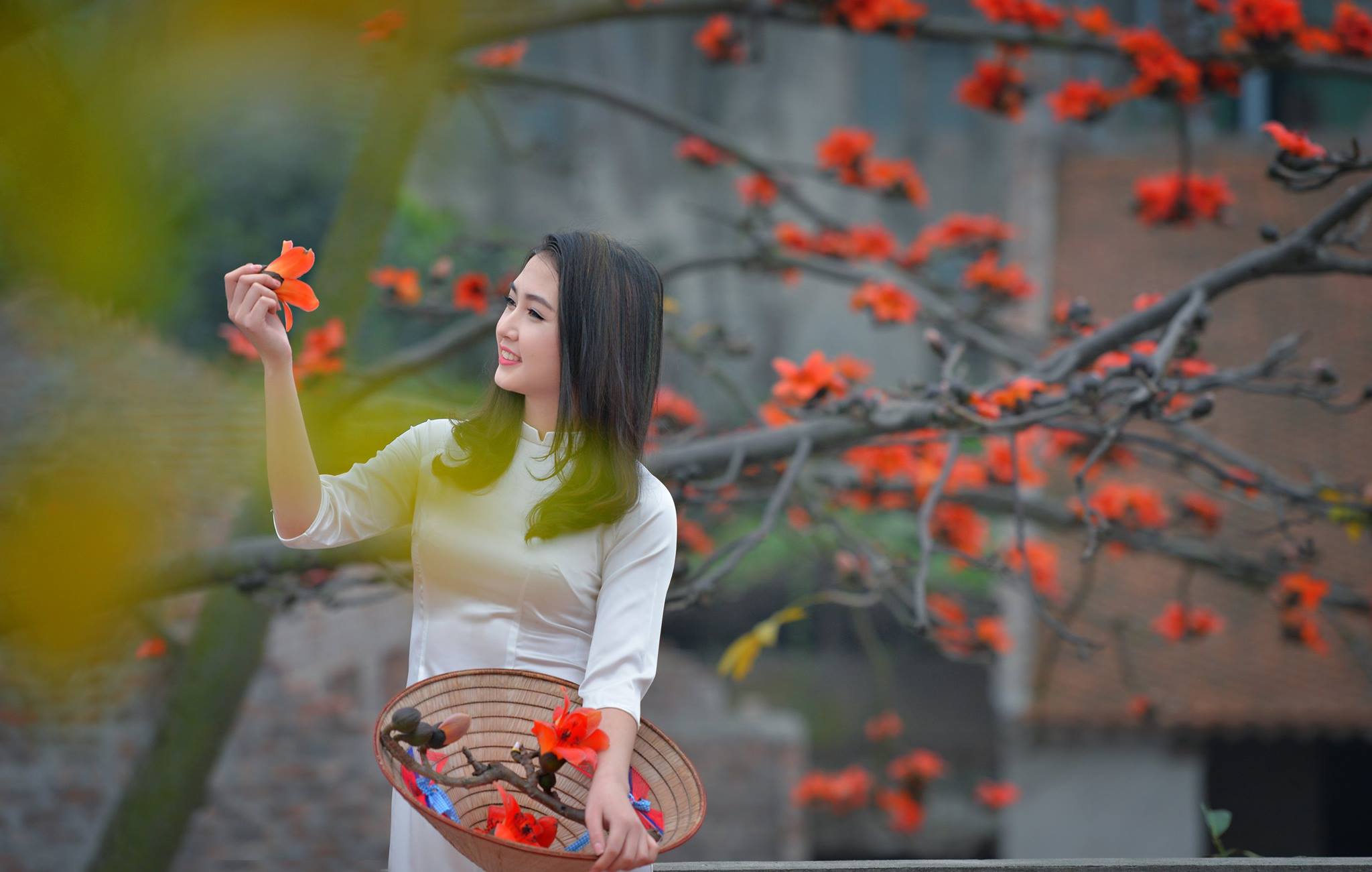 Hoa gao nowadays with a modern high school girl